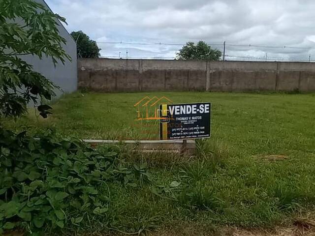 #359 - Área para Venda em Ariquemes - RO - 3